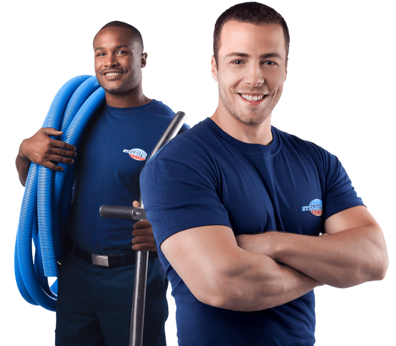 Professional Mold Removal